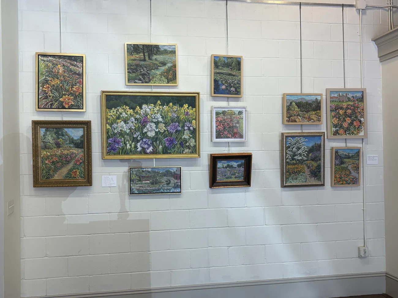 UA Galleries IMG 9697